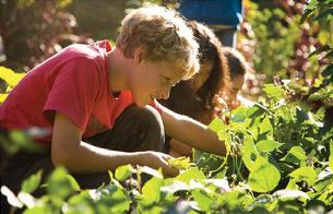 New Edible and Living Schoolyard Farm-to-Table Summer Camp Program at Classic Thyme, Westfield, NJ